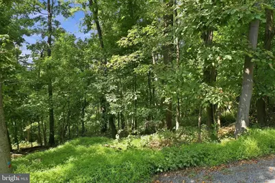 Windy Way, Front Royal, VA 22630 - Photo 11