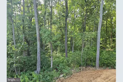 327 Woodpecker Way, Linden, VA 22642 - Photo 33