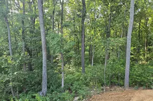 327 Woodpecker Way, Linden, VA 22642 - Photo 31