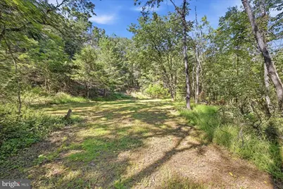 Valley Park Court, Strasburg, VA 22657 - Photo 3