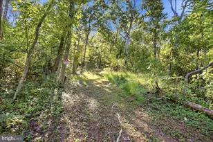 Valley Park Ct, Strasburg, VA 22657 - Photo 1