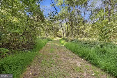 Valley Park Court, Strasburg, VA 22657 - Photo 19