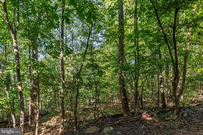 101 Blue Valley Road, Linden, VA 22642 - Photo 39
