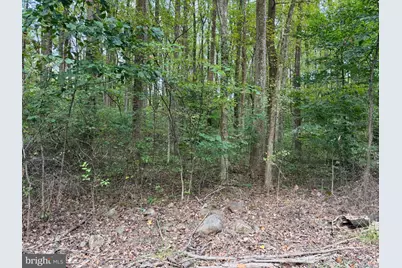 Smith Run, Bentonville, VA 22610 - Photo 3