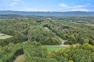 495 Mountain Brk Ln, Bentonville, VA 22610 - Photo 61