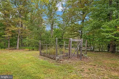3823 Panhandle Road, Front Royal, VA 22630 - Photo 57
