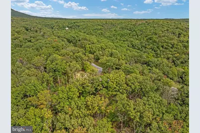 3823 Panhandle Road, Front Royal, VA 22630 - Photo 65