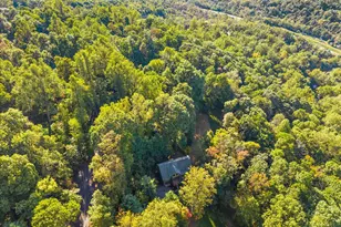 1388 Granny Smith Rd, Linden, VA 22642 - Photo 39