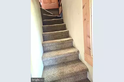 219 Fox Squirrel Lane, Cabins, WV 26855 - Photo 15