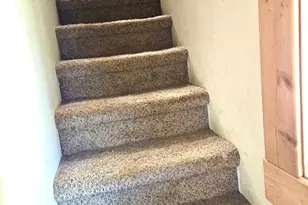 219 Fox Squirrel Ln, Cabins, WV 26855 - Photo 15