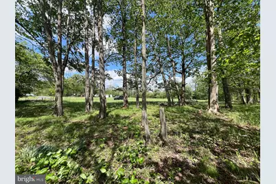 Cherry Ridge Road, Mount Storm, WV 26739 - Photo 7