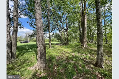 Cherry Ridge Road, Mount Storm, WV 26739 - Photo 5