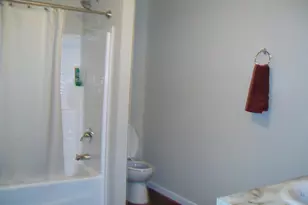 107 Trout Ln, Cabins, WV 26855 - Photo 27