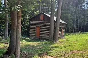 1079 Little Mountain, Cabins, WV 26855 - Photo 31