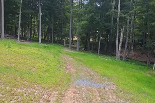 1079 Little Mountain, Cabins, WV 26855 - Photo 45