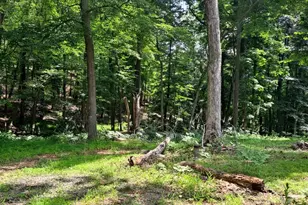 1079 Little Mountain, Cabins, WV 26855 - Photo 43