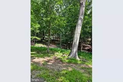 1079 Little Mountain, Cabins, WV 26855 - Photo 41