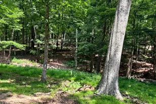 1079 Little Mountain, Cabins, WV 26855 - Photo 41