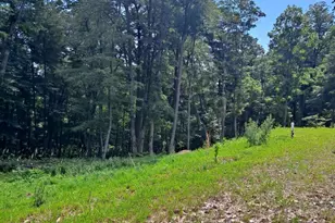 1079 Little Mountain, Cabins, WV 26855 - Photo 49