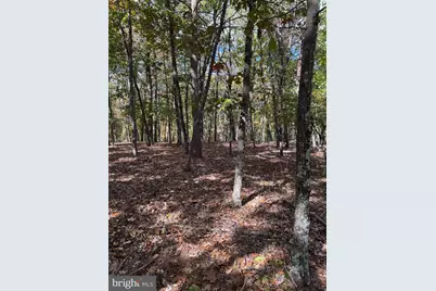 961 Almost Heaven Drive, Petersburg, WV 26847 - Photo 39