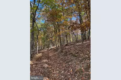 961 Almost Heaven Drive, Petersburg, WV 26847 - Photo 35