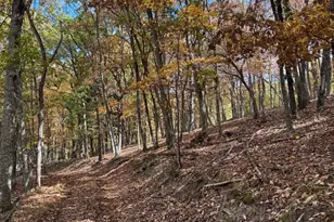 961 Almost Heaven Dr, Petersburg, WV 26847 - Photo 35