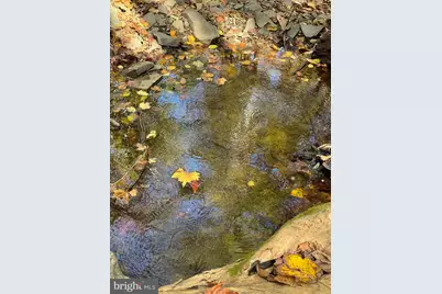 961 Almost Heaven Drive, Petersburg, WV 26847 - Photo 9