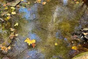 961 Almost Heaven Dr, Petersburg, WV 26847 - Photo 9