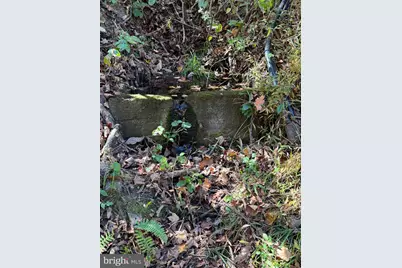 961 Almost Heaven Drive, Petersburg, WV 26847 - Photo 25