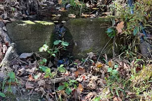 961 Almost Heaven Dr, Petersburg, WV 26847 - Photo 25