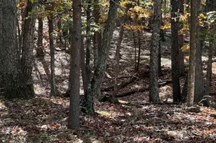 961 Almost Heaven Dr, Petersburg, WV 26847 - Photo 43