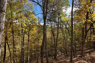 961 Almost Heaven Dr, Petersburg, WV 26847 - Photo 31