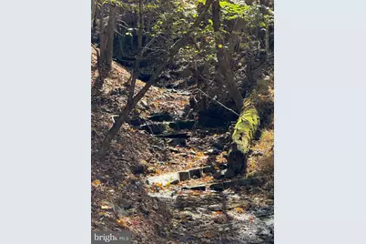 961 Almost Heaven Drive, Petersburg, WV 26847 - Photo 29