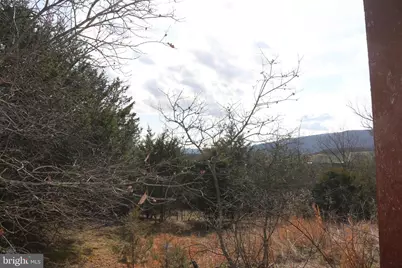 156 Squirrel Den Road, Maysville, WV 26833 - Photo 39