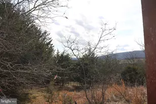 156 Squirrel Den Rd, Maysville, WV 26833 - Photo 39