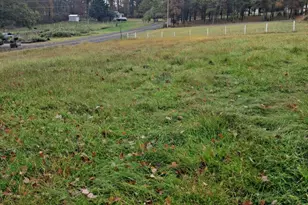 7642 Jordan Run Rd, Maysville, WV 26833 - Photo 9