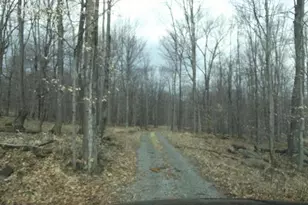 421 Head Rd, Mount Storm, WV 26739 - Photo 11