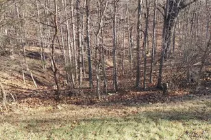 133 Upper Hawk Ridge, Petersburg, WV 26847 - Photo 17