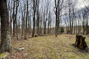 126 Dahlia Ln, Mount Storm, WV 26739 - Photo 25