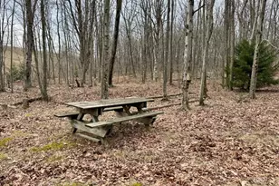 126 Dahlia Ln, Mount Storm, WV 26739 - Photo 17