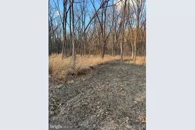 261 Hicks Drive, Petersburg, WV 26847 - Photo 19