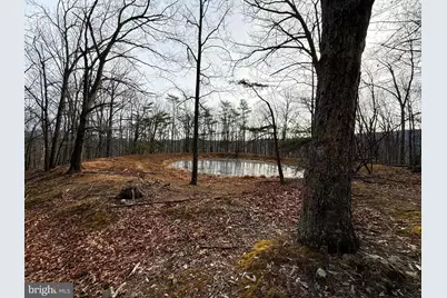55 Fairfax Corner Road, Cabins, WV 26855 - Photo 27
