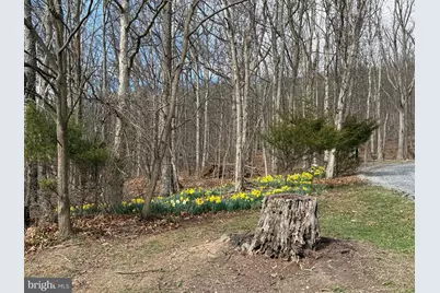 55 Fairfax Corner Road, Cabins, WV 26855 - Photo 15