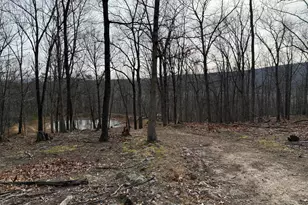 55 Fairfax Corner Rd, Cabins, WV 26855 - Photo 89