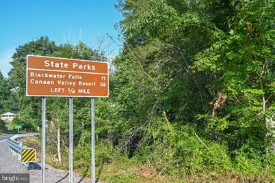 Tbd Route 50, Gormania, WV 26720 - Photo 3