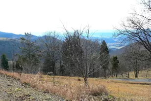 2717 Williamsport Rd, Lahmansville, WV 26731 - Photo 57