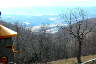 2717 Williamsport Rd, Lahmansville, WV 26731 - Photo 15