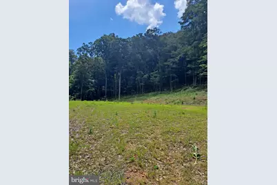 1079 Little Mountain, Cabins, WV 26855 - Photo 47