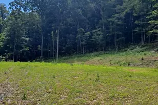 1079 Little Mountain, Cabins, WV 26855 - Photo 47