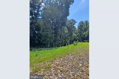 1079 Little Mountain, Cabins, WV 26855 - Photo 49